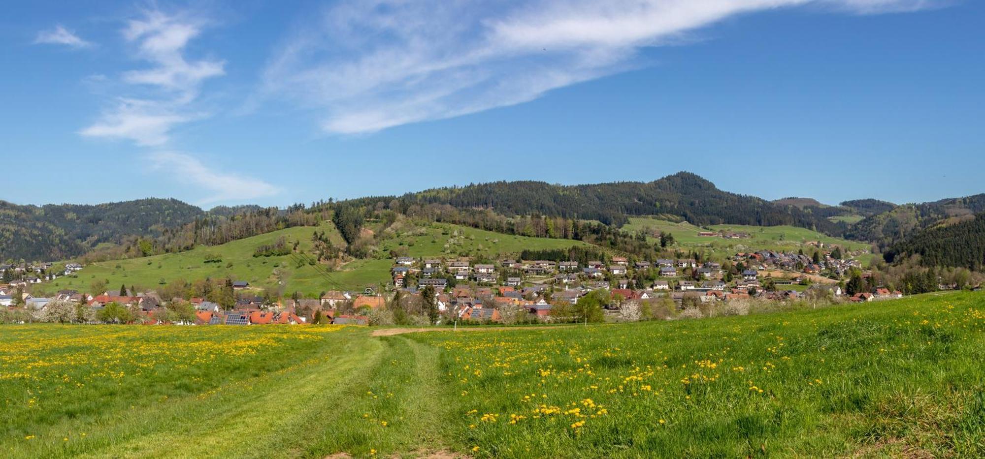 Haus Irmgard Apartamento Zell am Harmersbach Exterior foto