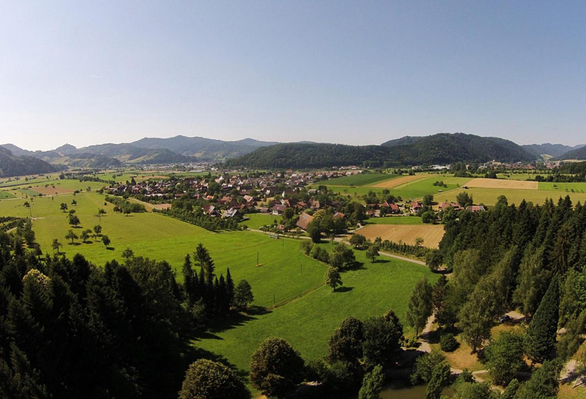 Haus Irmgard Apartamento Zell am Harmersbach Exterior foto